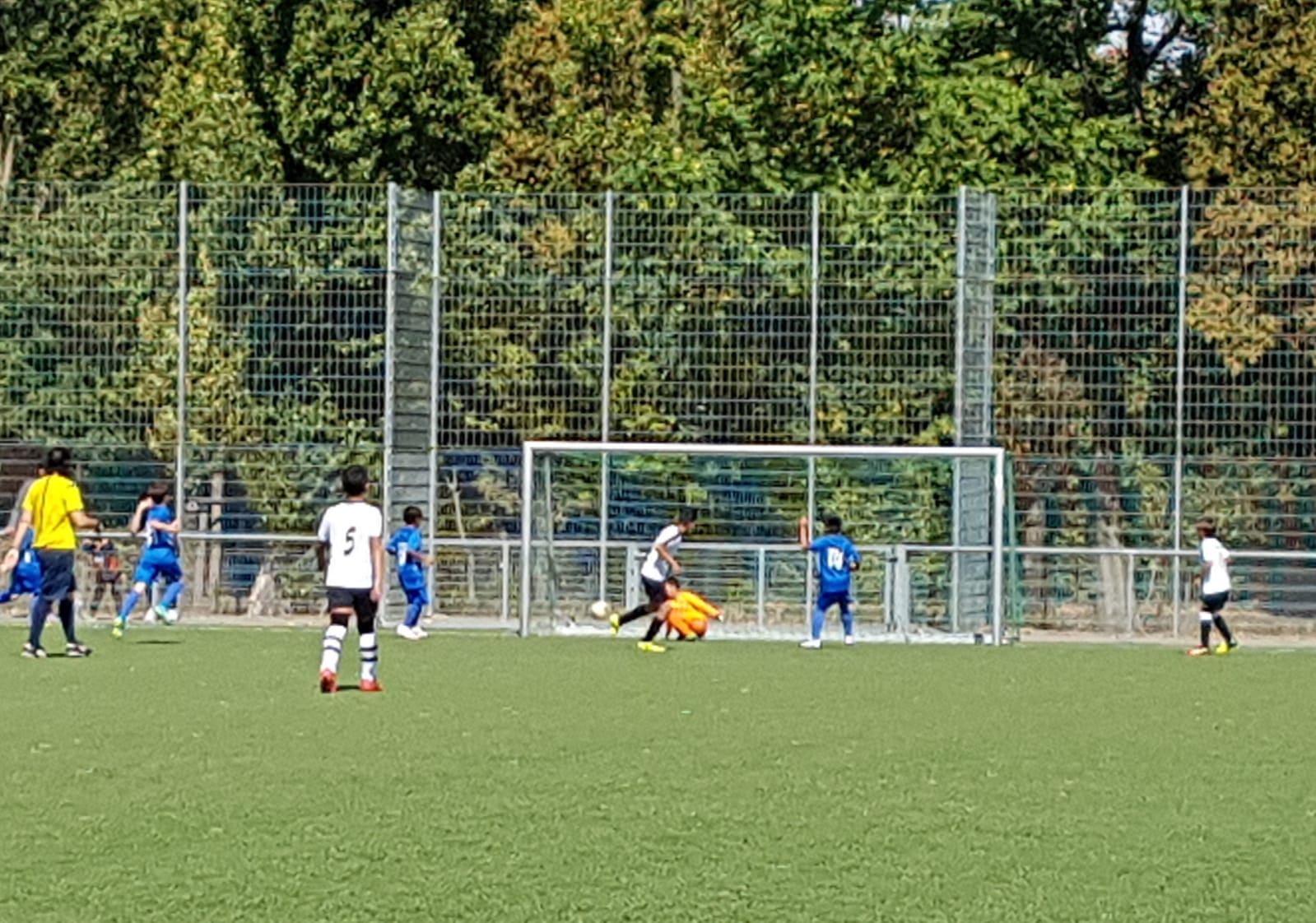 IMG-20180908-WA0010